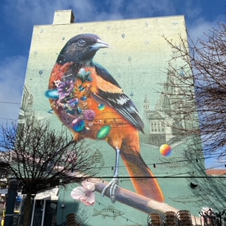waalpainting-nijmegen