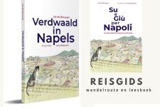 Local in Napels Boek Verdwaald in Napels