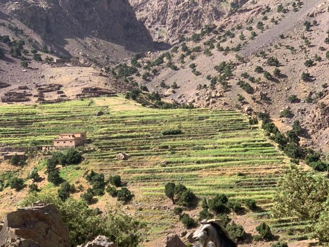 Morocco High Atlas Mountains green terraces like in Nepal