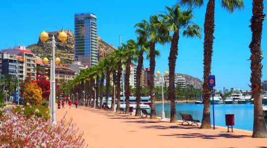 Alicante