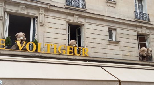 Wereldstadgids Parijs rondleidingen