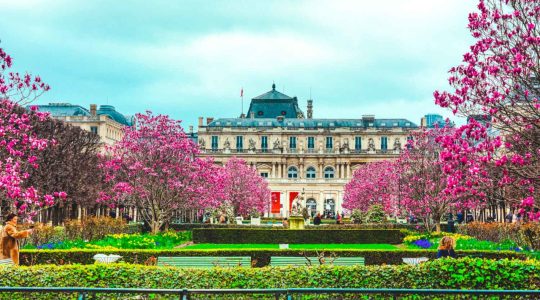 Wereldstadgids Parijs rondleidingen