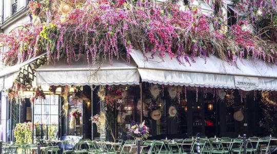 Wereldstadgids Parijs rondleidingen